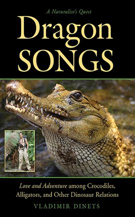 Cover image for Dragon Songs