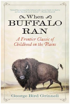 Cover image for When Buffalo Ran