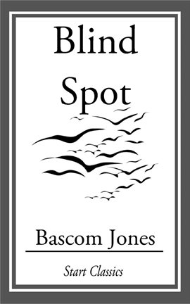 Cover image for Blind Spot