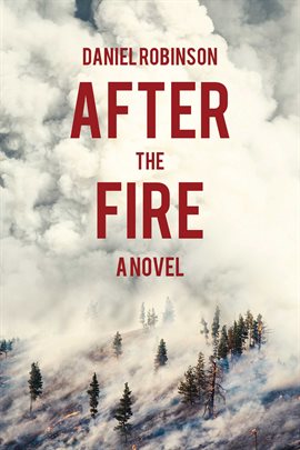 Cover image for After the Fire