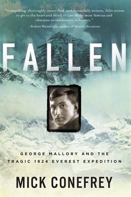 Cover image for Fallen