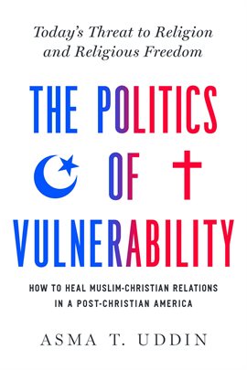 Cover image for The Politics of Vulnerability
