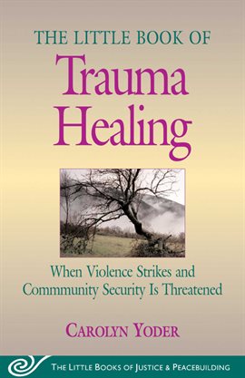 Imagen de portada para Little Book of Trauma Healing