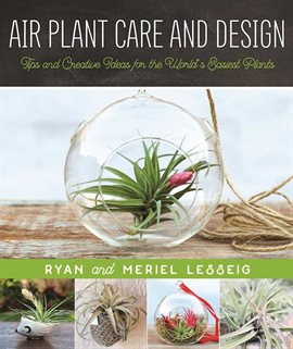 Cover image for Air Plant Care and Design