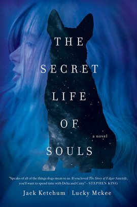 Cover image for The Secret Life of Souls