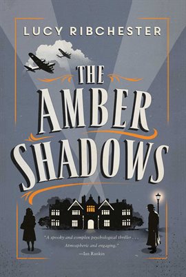 Cover image for The Amber Shadows