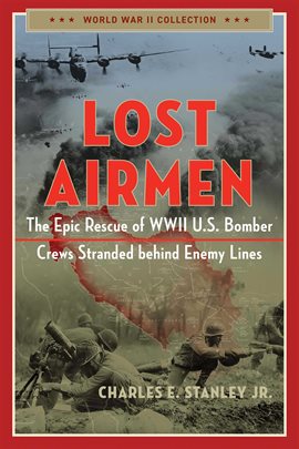 Cover image for Lost Airmen