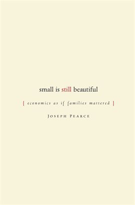 Cover image for Small Is Still Beautiful