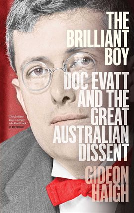 Cover image for The Brilliant Boy