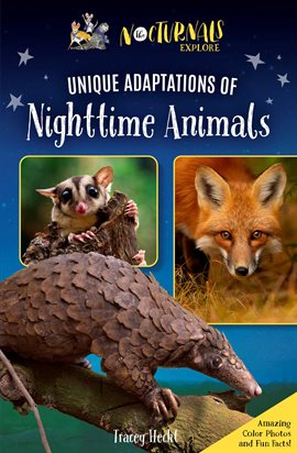 Cover image for The Nocturnals Explore Unique Adaptations of Nighttime Animals