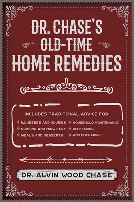 Cover image for Dr. Chase's Big Book of Home Remedies