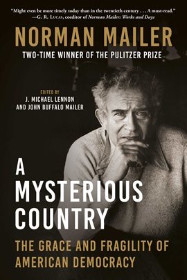 Cover image for A Mysterious Country