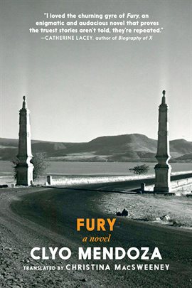 Cover image for Fury