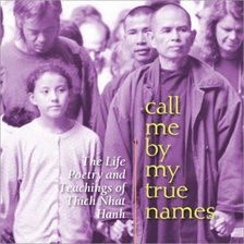 Cover image for Call Me by My True Names