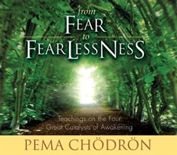 Cover image for From Fear to Fearlessness
