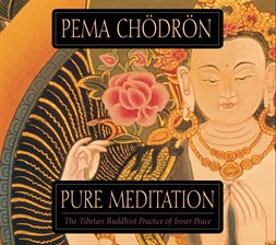 Imagen de portada para Pure Meditation