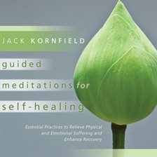 Cover image for Guided Meditations for Self-Healing