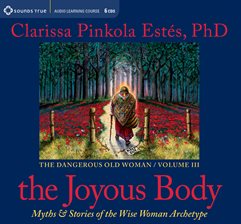 Cover image for The Joyous Body