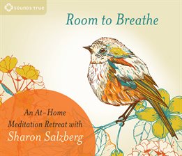 Cover image for Room to Breathe