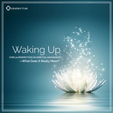 Cover image for Waking Up: Over 30 Perspectives on Spiritual Awakening--What Does It Really Mean?