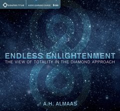 Cover image for Endless Enlightenment