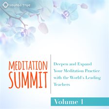 Imagen de portada para The Meditation Summit: Volume 1