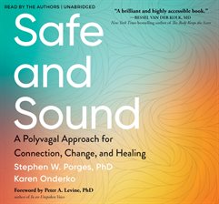 Cover image for Safe and Sound