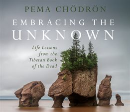 Cover image for Embracing the Unknown