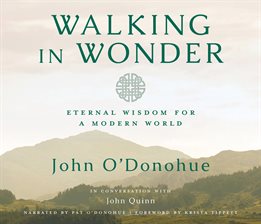 Imagen de portada para Walking in Wonder