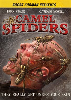 Cover image for Camel Spiders