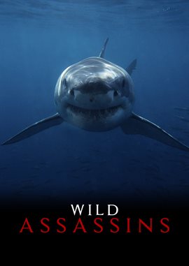 Cover image for Disease