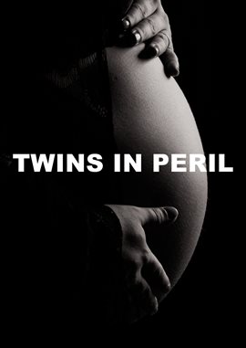 Imagen de portada para Twins in Peril