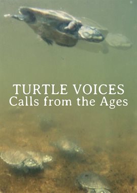 Cover image for Turtle Voices: Calls From The Ages