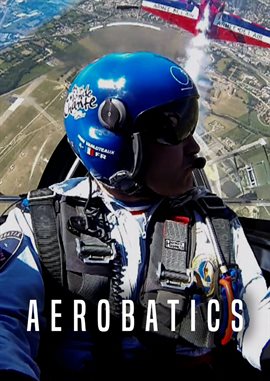 Cover image for Aerobatics