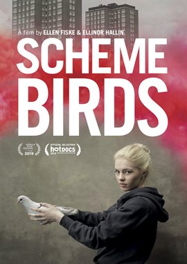 Cover image for Scheme Birds