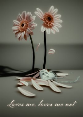 Loves Me, Loves Me Not