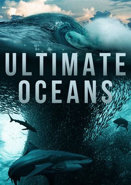 Cover image for Sharks
