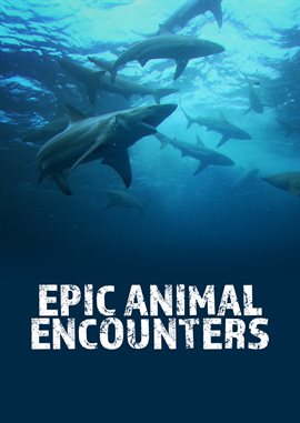 Cover image for Weird and Outrageous Encounters