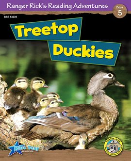 Cover image for Treetop Duckies