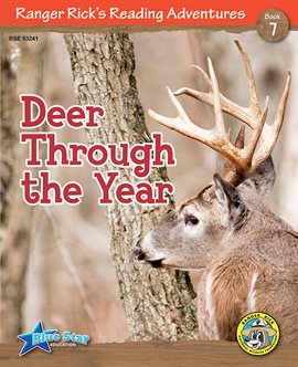Cover image for Deer Through the Year