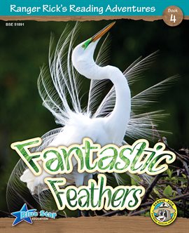 Cover image for Fantastic Feathers
