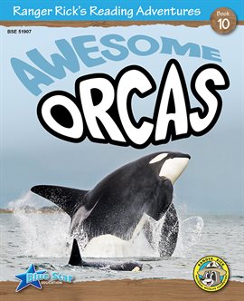 Cover image for Awesome Orcas