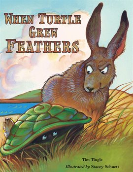 Cover image for When Turtle Grew Feathers