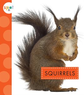 Cover image for Squirrels