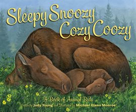 Cover image for Sleepy Snoozy Cozy Coozy