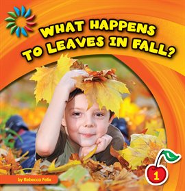 Cover image for What Happens To Leaves In Fall?