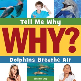 Cover image for Dolphins Breathe Air