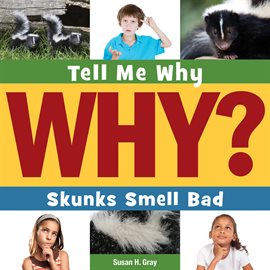 Cover image for Skunks Smell Bad