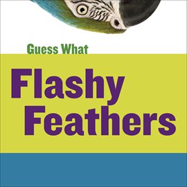 Cover image for Flashy Feathers