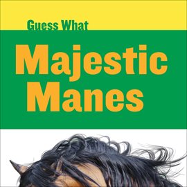 Cover image for Majestic Manes